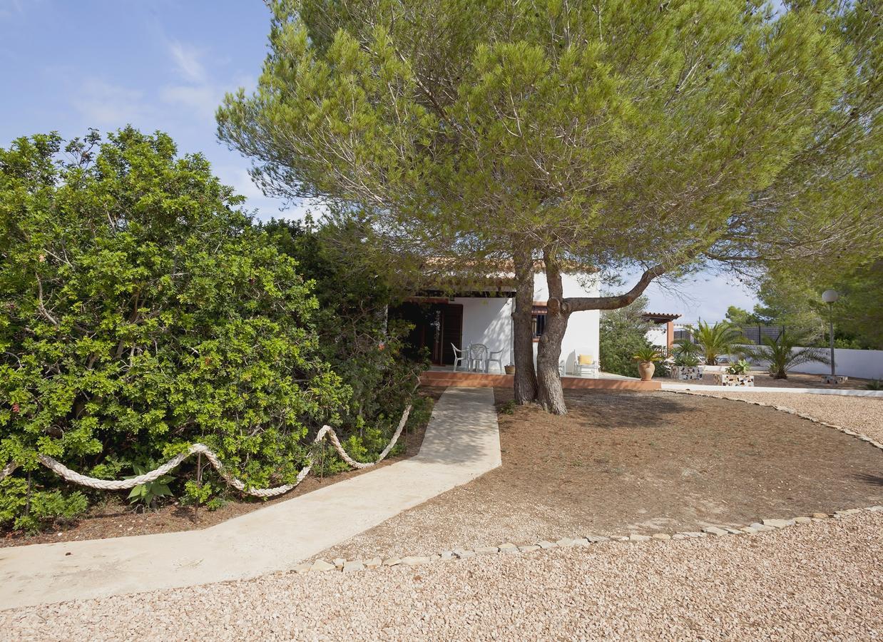 Viviendas Los Olivos - Formentera Break Playa Migjorn Dış mekan fotoğraf